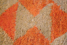 3x4 Modern Tulu Area Rug