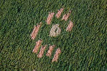 4x4 Old & Vintage Turkish Area Rug