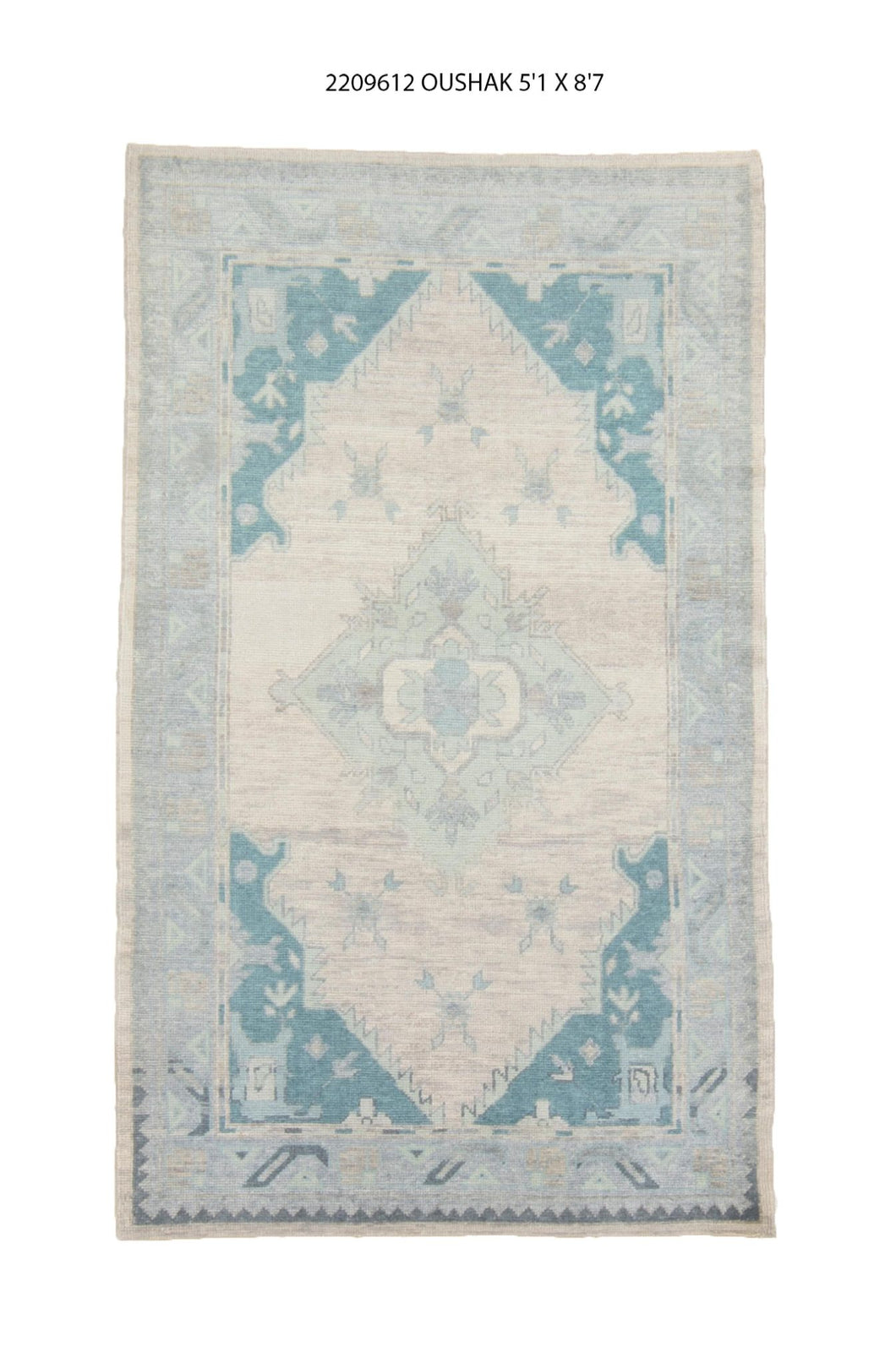 5x9 Modern Oushak Area Rug