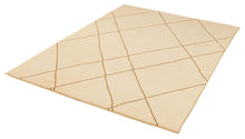 6x8 Modern Tulu Area Rug