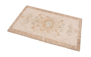 2x4 Modern Oushak Area Rug