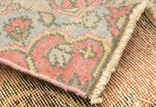 3x11 Turkish Carpet Area Rug